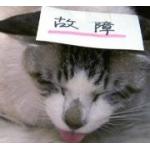 セリュー