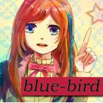 blue-bird