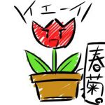 春菊