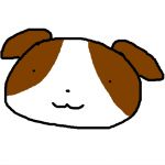 詩乃