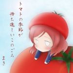 桜華@セレナ