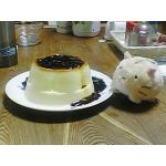 ぱたぱたアルさん
