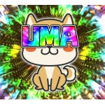 UMA犬研