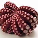 tako8