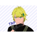 TNP＠低燃費