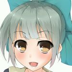 しろいかえる