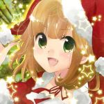 わたぬき