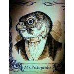 Mr.Protoprahe
