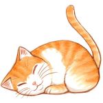 ネコンドル