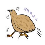 中邑みつのり