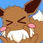 PakiPoki