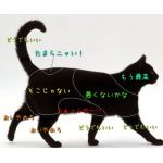 ピクルス③