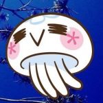 userPhoto