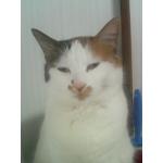 userPhoto