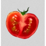 ごみむし