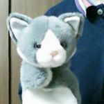 かんな久（ねここや）