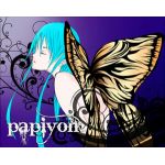 papiyon/蝶々P