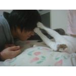京＠