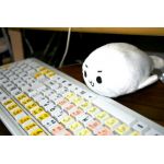 ものほしざお