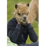 むげん