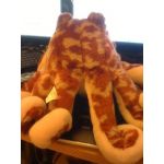 ぜにが