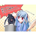 水月