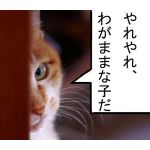 みけねこみほし猫の手でタワー