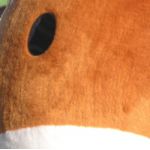 ののあるこ