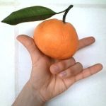 Ryo