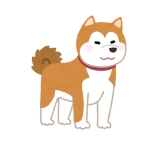 あなほりちゃんねる