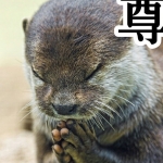 userPhoto