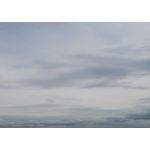 userPhoto
