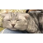 ユーザー画像