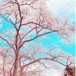 ユーザー画像