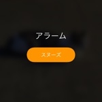 バサシ