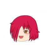 ダック