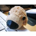 てんまる