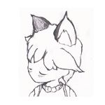 ナナ紫