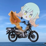 するめrider【車載手】