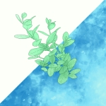 あめのくに