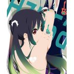茶々丸