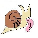 こいけや