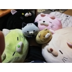 userPhoto