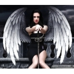Fallen Angel