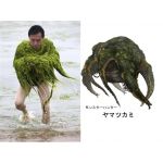 甲乙丙