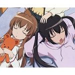 プレミアム