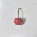 userPhoto