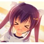 翠嵐