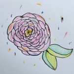 ゾォーカ