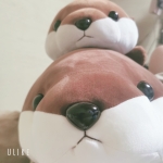ともえさん